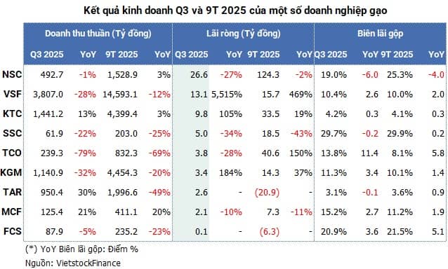 Ngành gạo quý 3: Niềm vui lợi nhuận, nỗi lo đầu ra