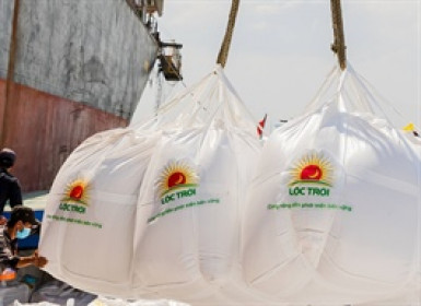 Lộc Trời xoay vòng vốn trong nội bộ để duy trì hoạt động