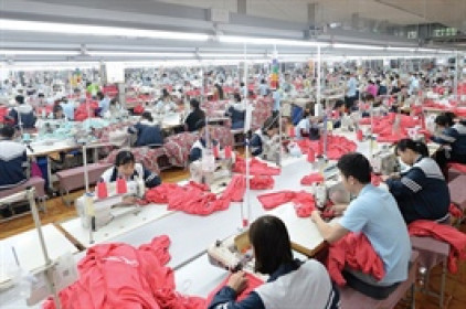 Kỳ vọng vượt kế hoạch lợi nhuận, MSH sắp tạm ứng hơn 450 tỷ đồng cổ tức