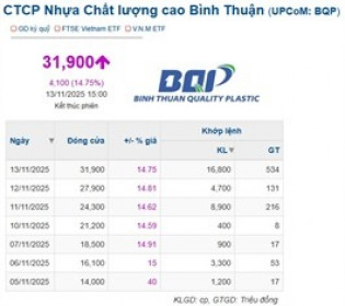 Tân binh ngành nhựa tăng giá gấp 3 lần sau chuỗi tím trần 7 phiên