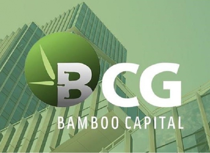 Bamboo Capital sẽ tổ chức đại hội cổ đông bất thường, dự kiến miễn nhiệm hàng loạt lãnh đạo