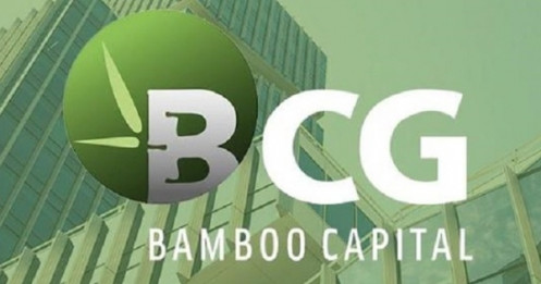 Bamboo Capital sẽ tổ chức đại hội cổ đông bất thường, dự kiến miễn nhiệm hàng loạt lãnh đạo