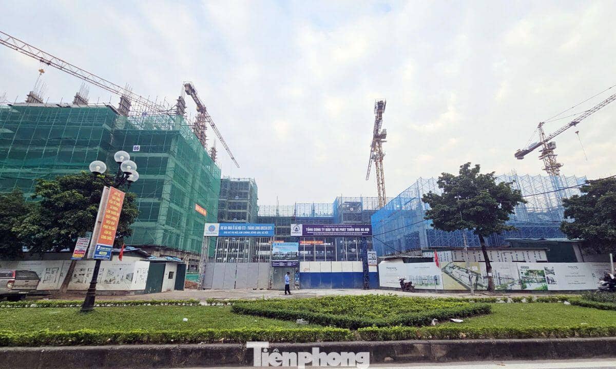 Hàng trăm người chen chân nộp hồ sơ dự án nhà ở xã hội CT3 Kim Chung, giá từ 900 triệu đồng/căn