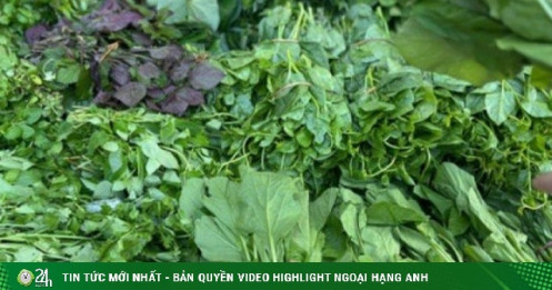 Giá rau 'phi mã' sau bão, bữa cơm gia đình Thủ đô chịu áp lực nặng nề