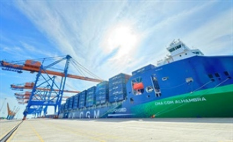 Cảng biển bội thu lợi nhuận trong quý 3