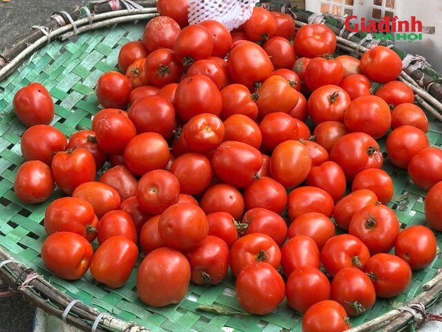 Gia đình thu nhập thấp xoay xở thế nào khi rau xanh là mặt hàng rẻ nhất cũng trở thành xa xỉ sau bão?