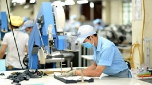 Dệt may Hòa Thọ sắp tạm ứng cổ tức 2,500 đồng/cp