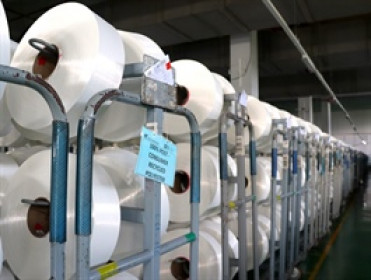 Sợi Thế Kỷ giới thiệu nhân sự bầu bổ sung Ban Kiểm soát