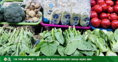 Rau đắt hơn thịt: Chủ vựa rau 200ha tiết lộ nguyên nhân thực sự