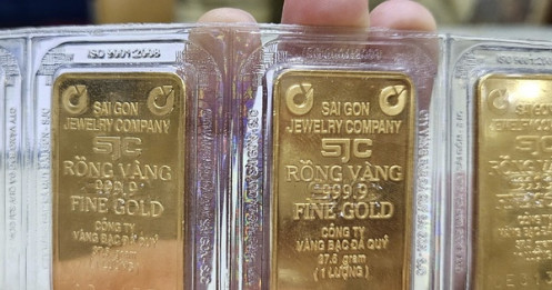 Sáng 20-11, giá vàng miếng SJC, vàng nhẫn duy trì ở mốc cao