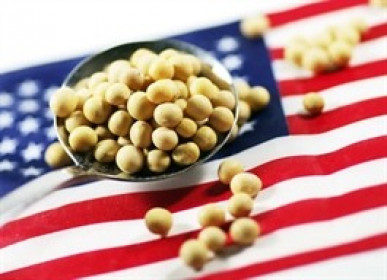 Đậu nành Mỹ vẫn “án binh bất động” bất chấp cam kết từ Bắc Kinh