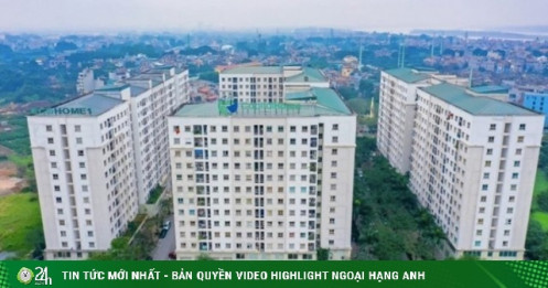 Doanh nghiệp bị nhắc tên trong lùm xùm “mua nhầm” nhà ở xã hội rồi bị đuổi quy mô thế nào?