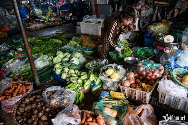 Giá rau xanh Hà Nội đắt đỏ, tiểu thương nói ‘nhiều nơi cứ vin cớ để tăng giá'