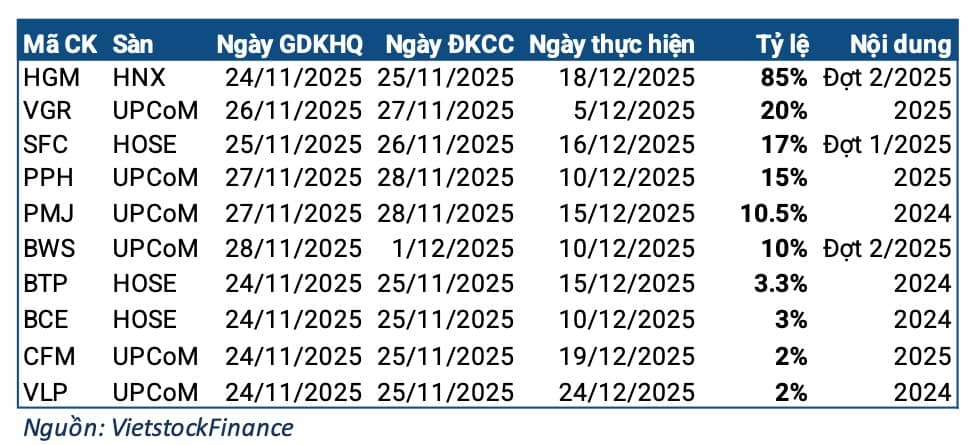 Cổ tức tuần 24-28/11: Nổi bật doanh nghiệp khoáng sản chốt chia tỷ lệ 85%