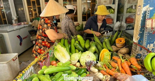 Hà Nội: Giá rau xanh có loại 180.000 đồng/kg, tôm hùm chỉ 200.000 đồng/kg