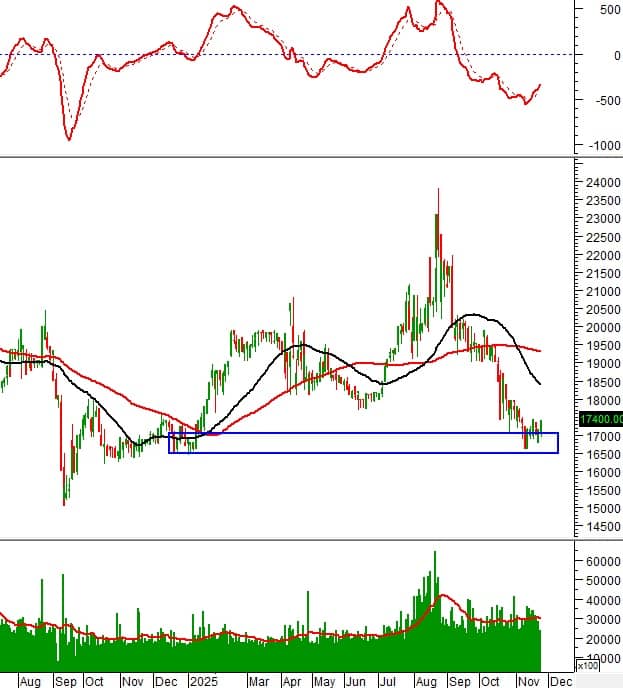 10 cổ phiếu cần theo dõi ngay hôm nay