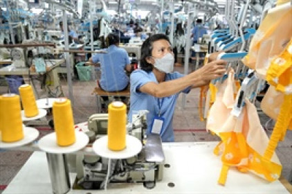 Doanh thu và lợi nhuận tháng 10 của TCM đồng loạt giảm 2 chữ số