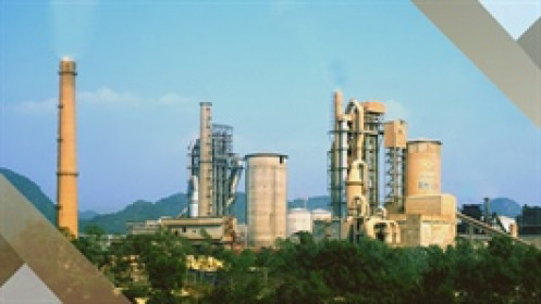 Vicem đấu giá cổ phần loạt công ty trong tháng 12 với mức cao nhiều lần thị trường