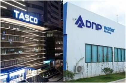 Tasco Investment gom chưa được 1/2 lượng đăng ký tại DNP Holding