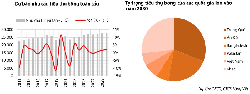 VDSC: Thị trường bông dư cung kéo dài 40 năm, giá khó phục hồi