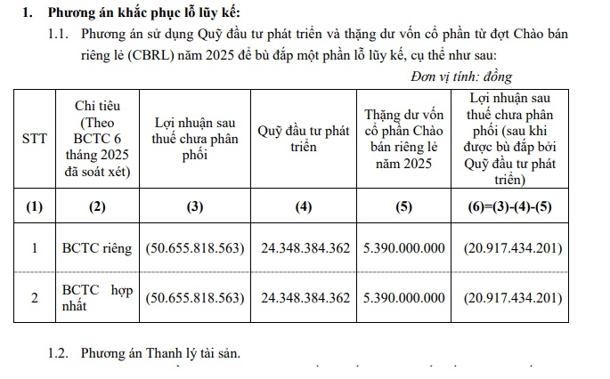 Chủ tịch LDP kiên trì thoái vốn trước thềm phát hành tăng vốn lên 280 tỷ