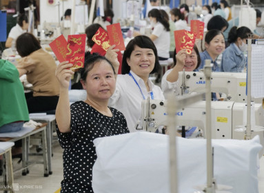 Yêu cầu báo cáo tiền lương, thưởng Tết trước ngày 25/12