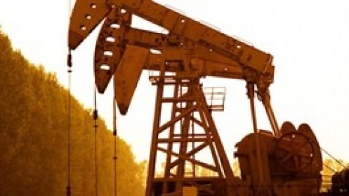 Dầu tăng chờ tin về đàm phán thoả thuận hoà bình Nga – Ukraine