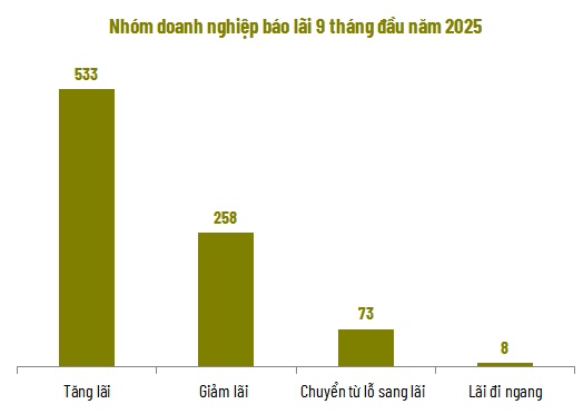 Toàn cảnh kinh doanh 9 tháng: Tăng trưởng lợi nhuận bỏ xa doanh thu