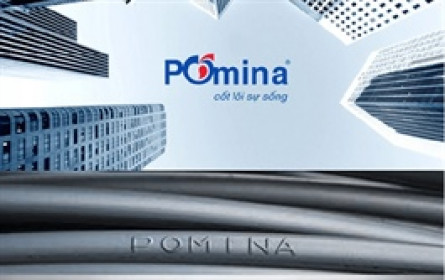 Cổ phiếu Pomina tăng 65% sau cú chạm của Vingroup