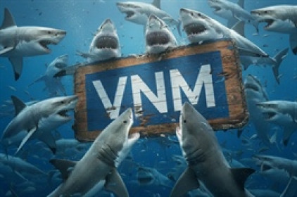 Theo dấu dòng tiền cá mập 28/11: Tự doanh và khối ngoại ngược chiều, VNM gây chú ý