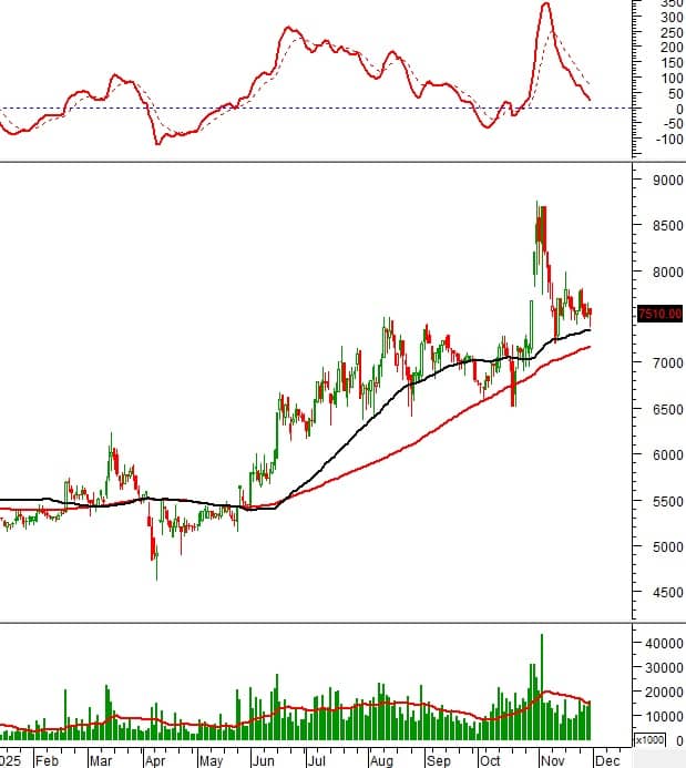 NĐT cần lưu ý: 10 cổ phiếu nổi bật phiên hôm nay - cơ hội tăng trưởng hay cảnh báo rủi ro?