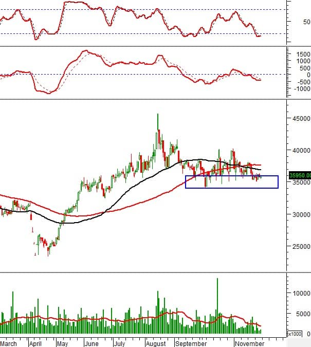 NĐT cần lưu ý: 10 cổ phiếu nổi bật phiên hôm nay - cơ hội tăng trưởng hay cảnh báo rủi ro?
