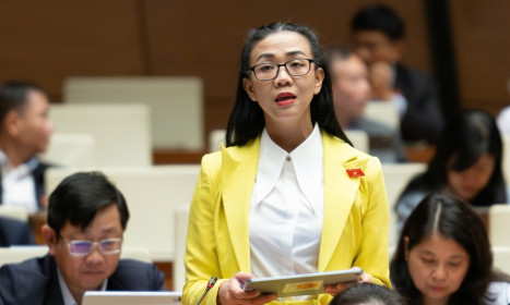 Đại biểu Quốc hội cảnh báo rủi ro phóng xạ từ khai thác đất hiếm