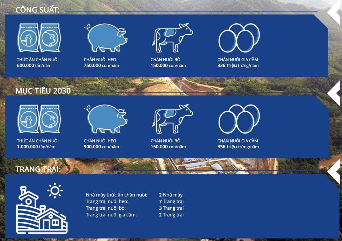 IPO Nông nghiệp Hòa Phát: Làm nông nghiệp theo công nghiệp, hướng tới doanh thu 12 ngàn tỷ