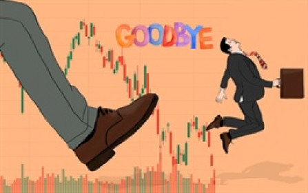 Nhiều doanh nghiệp mất chuẩn đại chúng rời sàn giữa làn sóng IPO quy mô lớn