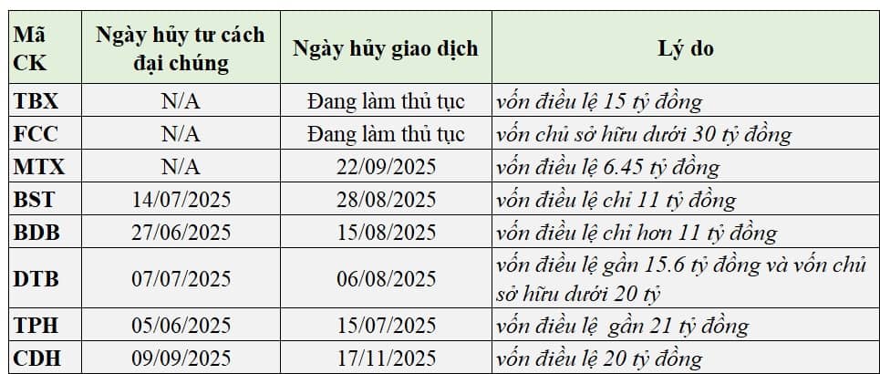 Nhiều doanh nghiệp mất chuẩn đại chúng rời sàn giữa làn sóng IPO quy mô lớn