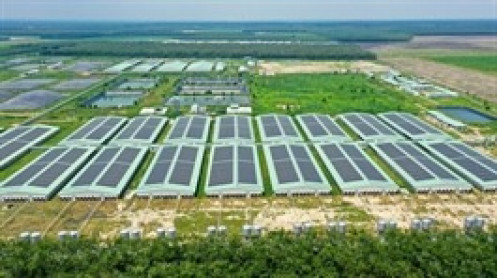 BAF nhận giấy chứng nhận chào bán 1,000 tỷ đồng trái phiếu, đã thay đổi phương án sử dụng vốn