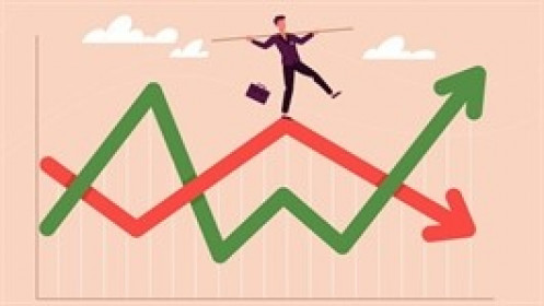 Cổ phiếu vua và VN-Index không còn chung nhịp