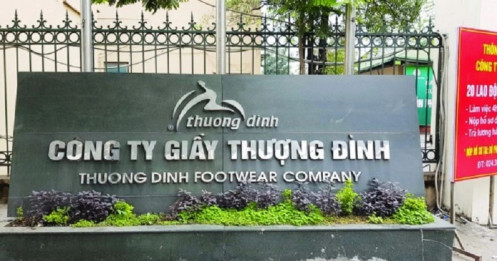 Sức nóng thoái vốn tác động gì tới cổ phiếu?