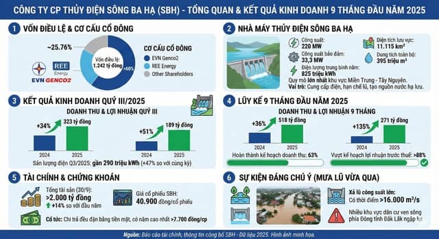 Ai là cổ đông lớn nhất của Thủy điện Sông Ba Hạ?