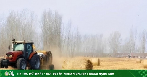 Cách Trung Quốc kiếm tiền từ rơm rạ: Nông dân chở rác đổi tiền mặt mỗi ngày