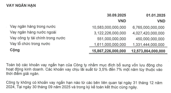 Tiếp nối động thái vay vốn, Vietcap dự kiến huy động tối đa 3,000 tỷ đồng trái phiếu