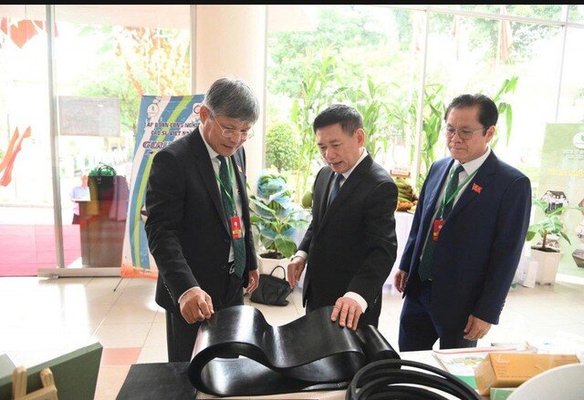 Tập đoàn Công nghiệp cao su Việt Nam lãi gần 7.000 tỉ đồng