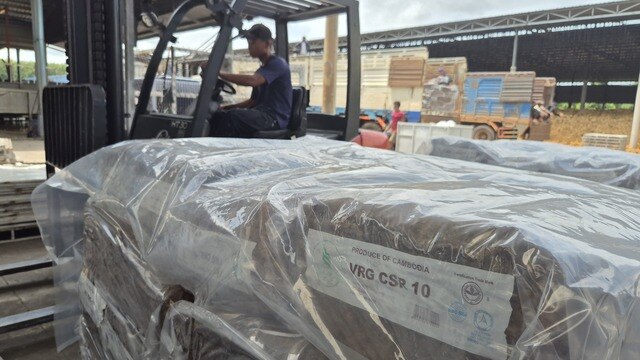 Tập đoàn Công nghiệp cao su Việt Nam lãi gần 7.000 tỉ đồng