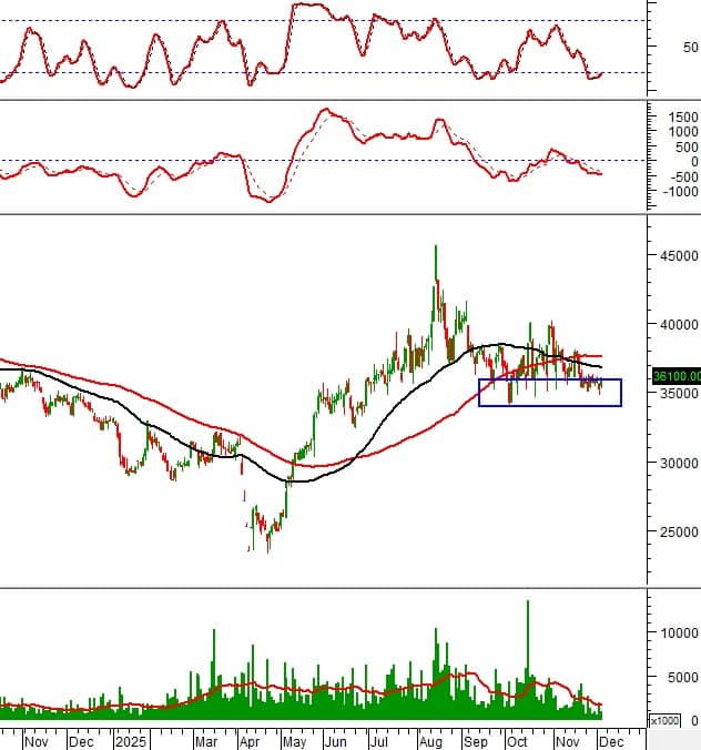 Breakout hàng loạt: Những cổ phiếu cho tín hiệu mua nổi bật theo phân tích kỹ thuật