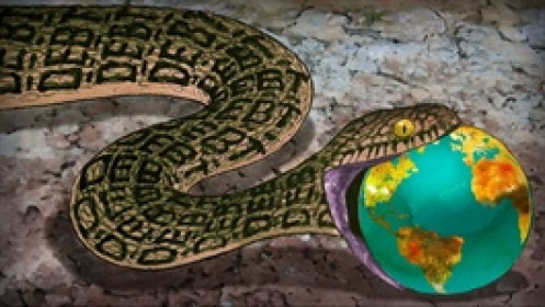 Hồi chuông cảnh báo về rủi ro nợ công trên toàn cầu