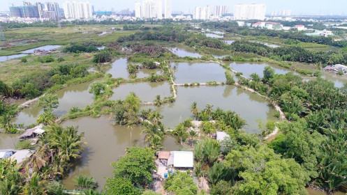 Quốc Cường Gia Lai muốn bán công ty con để trả nợ liên quan bà Trương Mỹ Lan