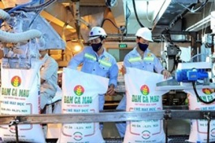 Phân bón Cà Mau điều chỉnh kế hoạch sau khi vượt mục tiêu 200% lợi nhuận trong 9 tháng