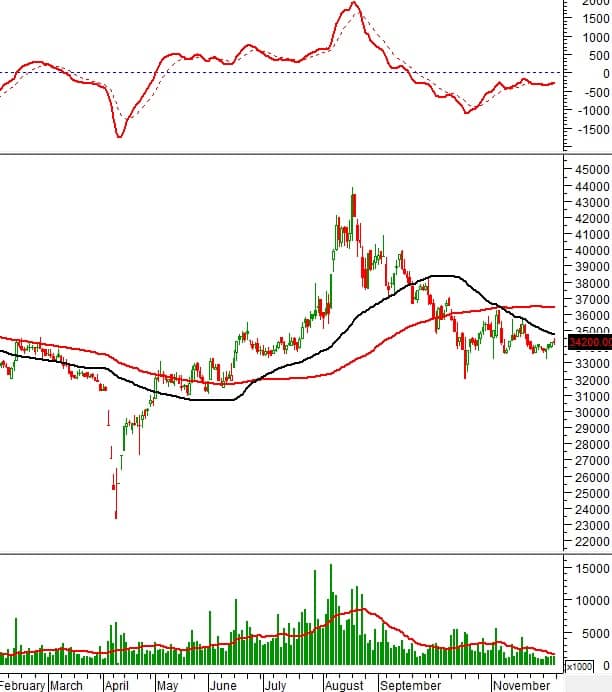 Phân tích kỹ thuật 10 cổ phiếu tâm điểm: Cơ hội nào cho nhà đầu tư cuối năm?”