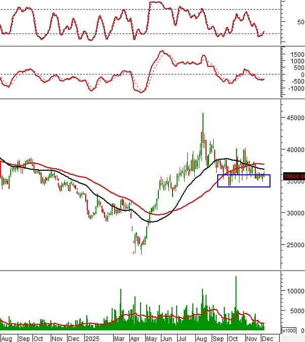 Phân tích kỹ thuật 10 cổ phiếu tâm điểm: Cơ hội nào cho nhà đầu tư cuối năm?”